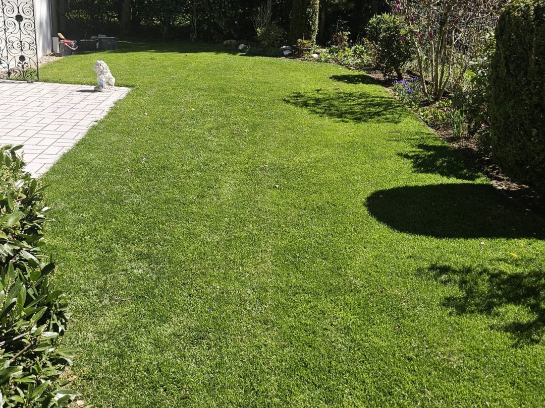 Dieselbe Gartenfläche nach der Neuanlage mit fertig verlegtem Rollrasen